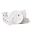 Butterfly Meadow Lenox 12 Piece Porcelain China Set Service for 6