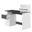 Cato Writing Desk