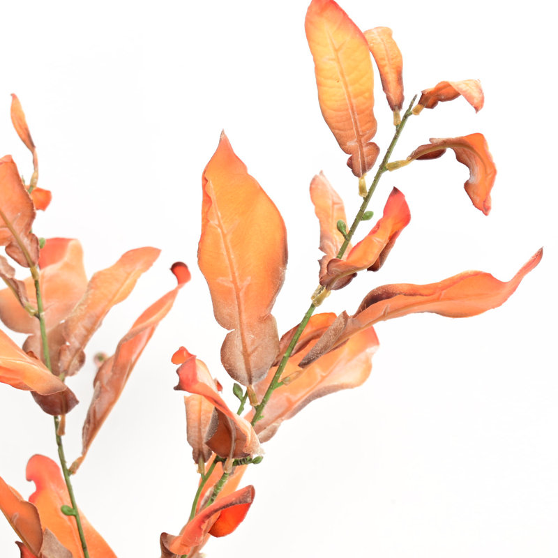 Branches de feuilles de pamplemousse 38 po