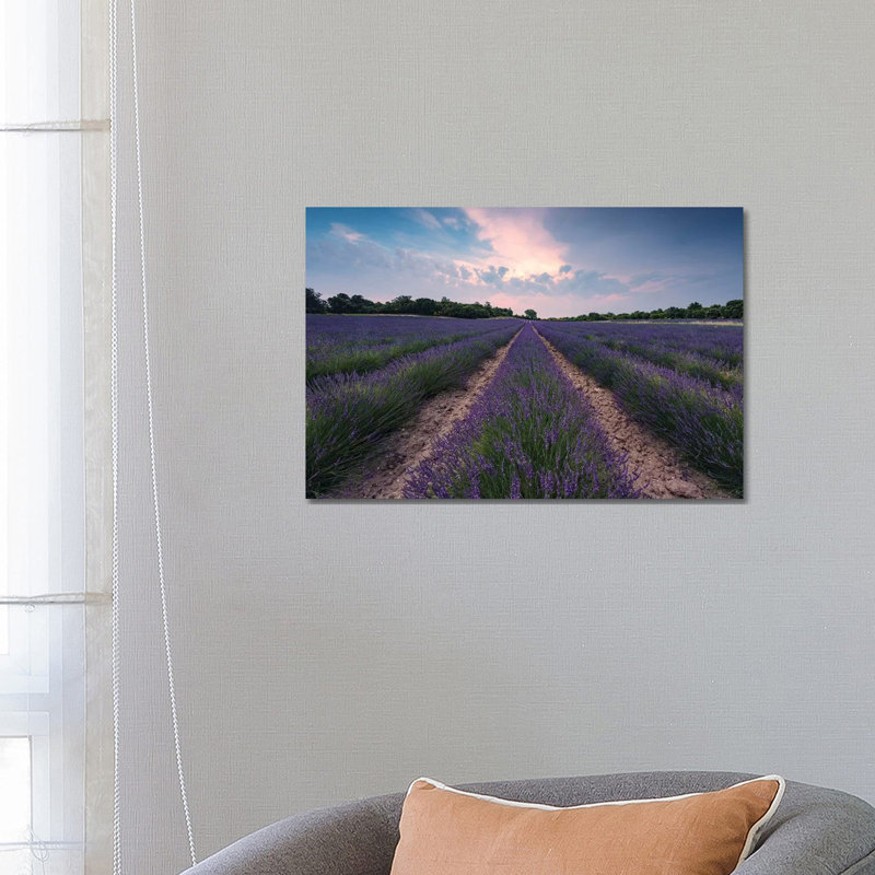 Lavender Paradise by Stefan Hefele - Wrapped Canvas Gallery-Wrapped Canvas Giclée, 45.72 cm H x 66.04 cm W