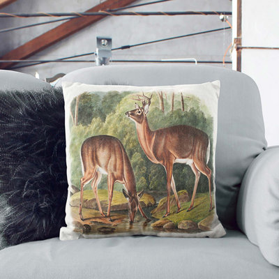 Square Cushion