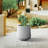 Laihla Pot Planter-1171178247-1171178246