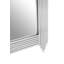 Damaria Stainless Steel Rectangle Mirror