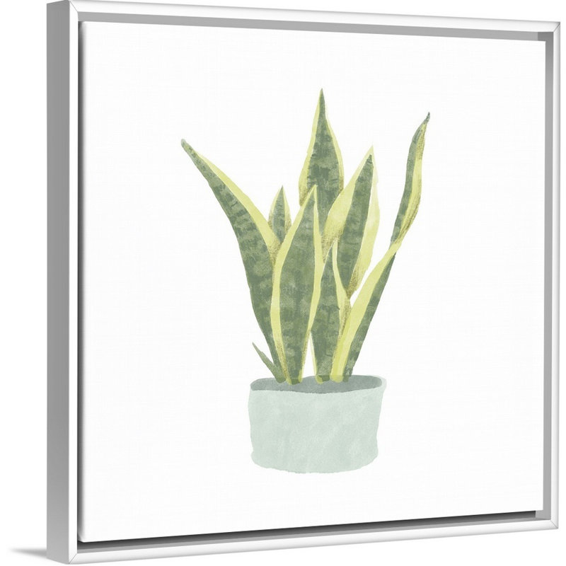 Art mural sur toile Snake Plant III, H 14 po x l 14 po, Toile avec cadre blanc