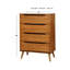 Commode et commode 1 pièce modernes de style Mid-Century-1811146605
