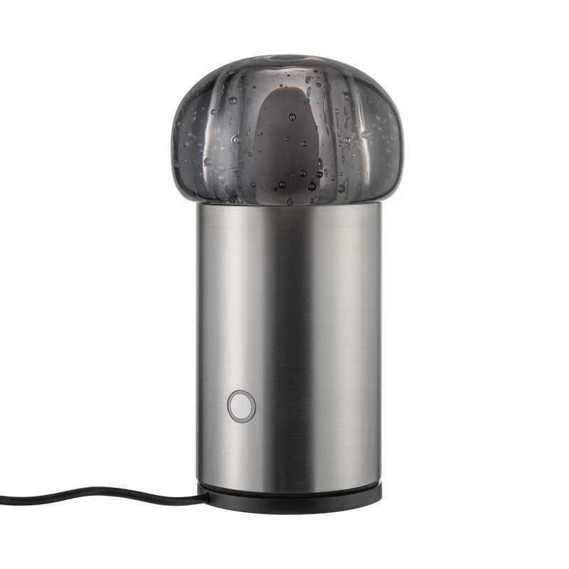 IRIS Metal Globe Lamp, Gunmetal Gray
