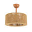 18'' Ceiling Fan Light With Remote Control