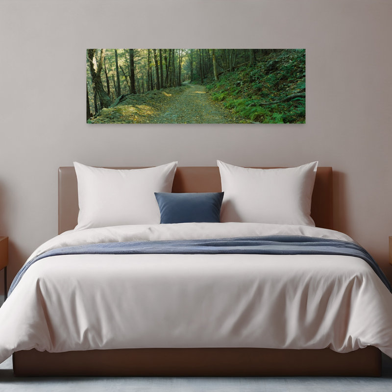 Trees In A National Park Shenandoah National Park Virginia USA by Murat Taner - Wrapped Canvas Panoramic Print