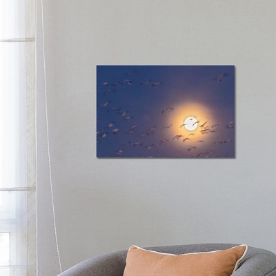 USA, New Mexico, Bosque del Apache National Wildlife Refuge. Snow geese blur and full moon. 1 Piece Wrapped Canvas Wall Art