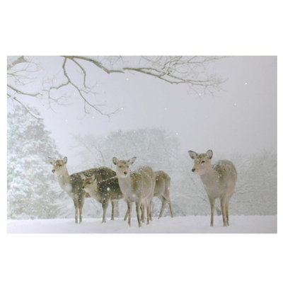 Art sur toile avec petites fibres