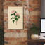 «Epic Graffiti» «Rose rose» par Art Licensing Studio, art mural sur toile, 12 po x 18 po