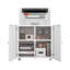 Office Printer Stand With Wheels, Mobile Lateral Filing Cabinet With File Door-1798720162
