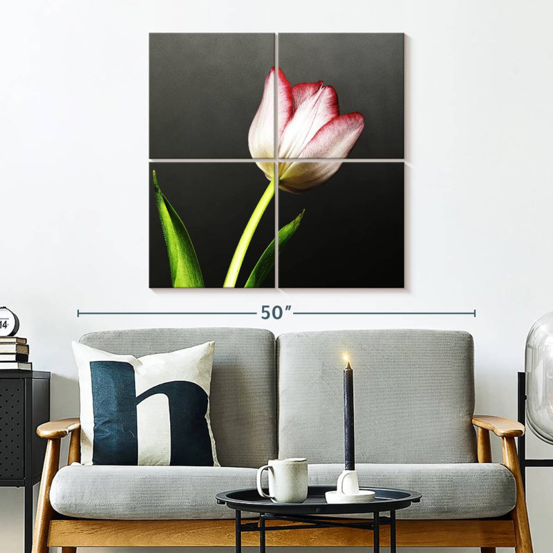 Tulipes blanches à pointe rouge, H 32 po x l 32 po