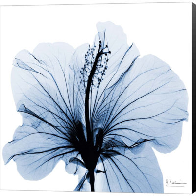 " Indigo Hibiscus " by Albert Koetsier Painting Print
