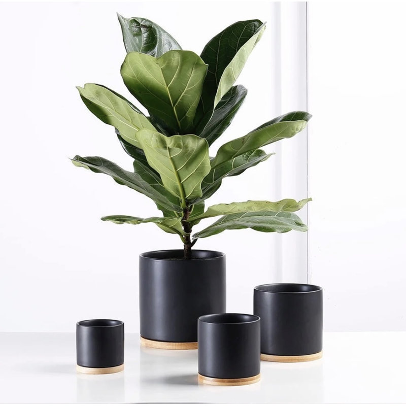 Pot à fleurs en céramique 2 pièces 4,5 po, Menthe / noir