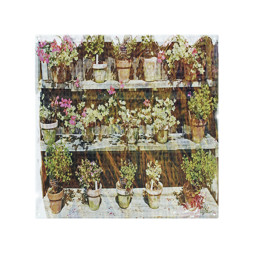 Plant Pots Splash Back