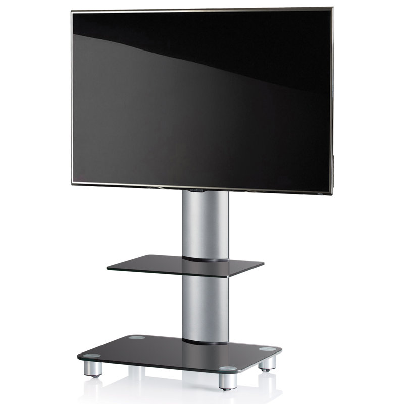 Remagne Unfinished TV Stand for TVs up to 70", Silver Brushed/Black