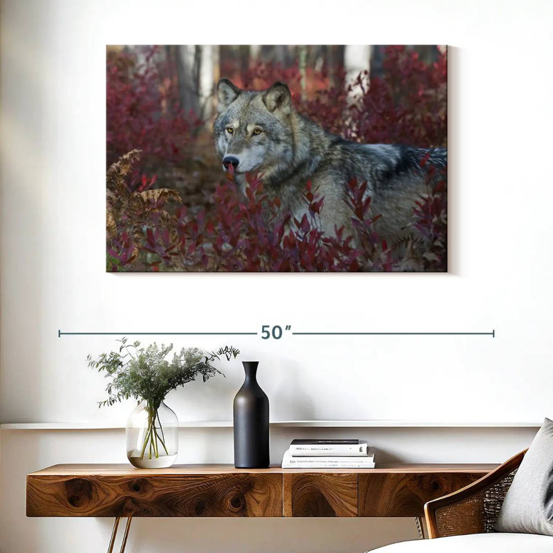 Brampt Gray Timber Wolf