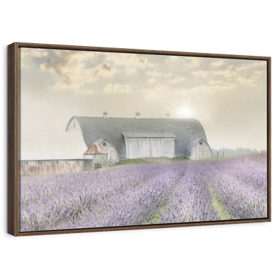 Lavender Morning