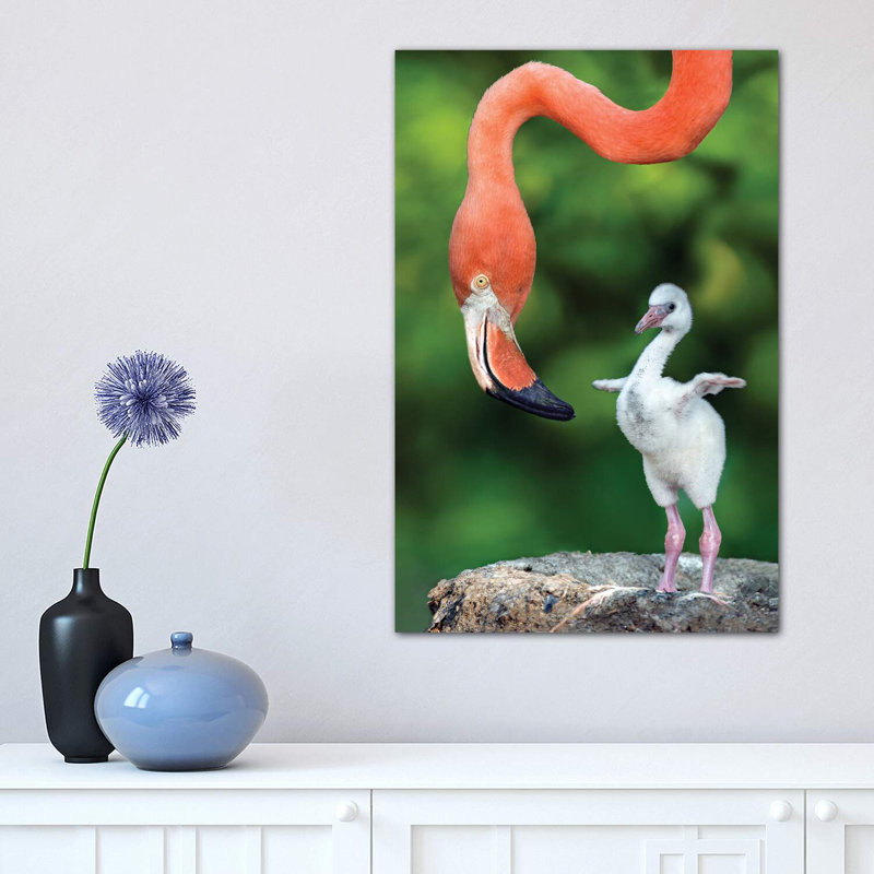 Flamingo With Chick by Xavier Ortega - Wrapped Canvas Print, 30.48 cm H x 45.72 cm W