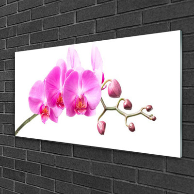 Glass Print Wall Art 100X50cm Image Printed On Glass Decorative Wall Picture Behind Toughened / Tempered Safety Real Glass For Kitchen & Living Room Theme: Flowers Floral