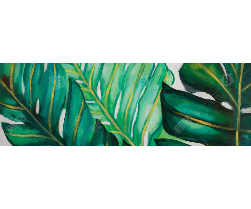 " Three Big Exotic Plant Leaves "