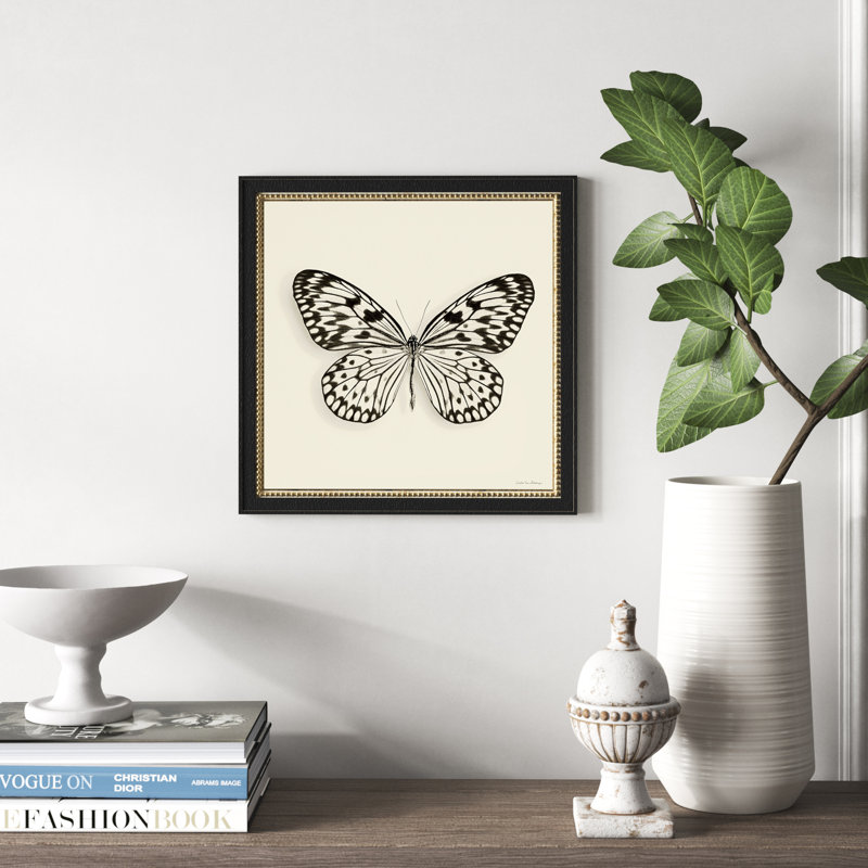 " Butterfly V BW "