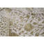 Dharma Oriental Area Rug