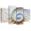 Empty Nautilus Shell