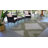 Dex Rug-694097350