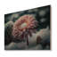 Une fleur de gerbera rose en hiver I - Impression sur toile-1198224412-1199372141