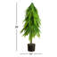 Pin artificiel de style Norfolk avec aspect naturel-444633702