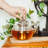 Grosche Glass Teapot