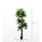 Hand-Made Primrue Giant 6.5'' Artificial Ficus Tree