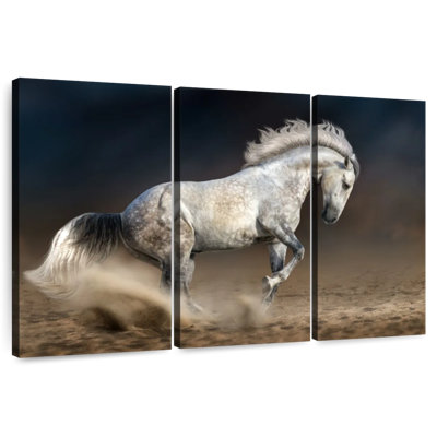 Cheval andalou en mouvement