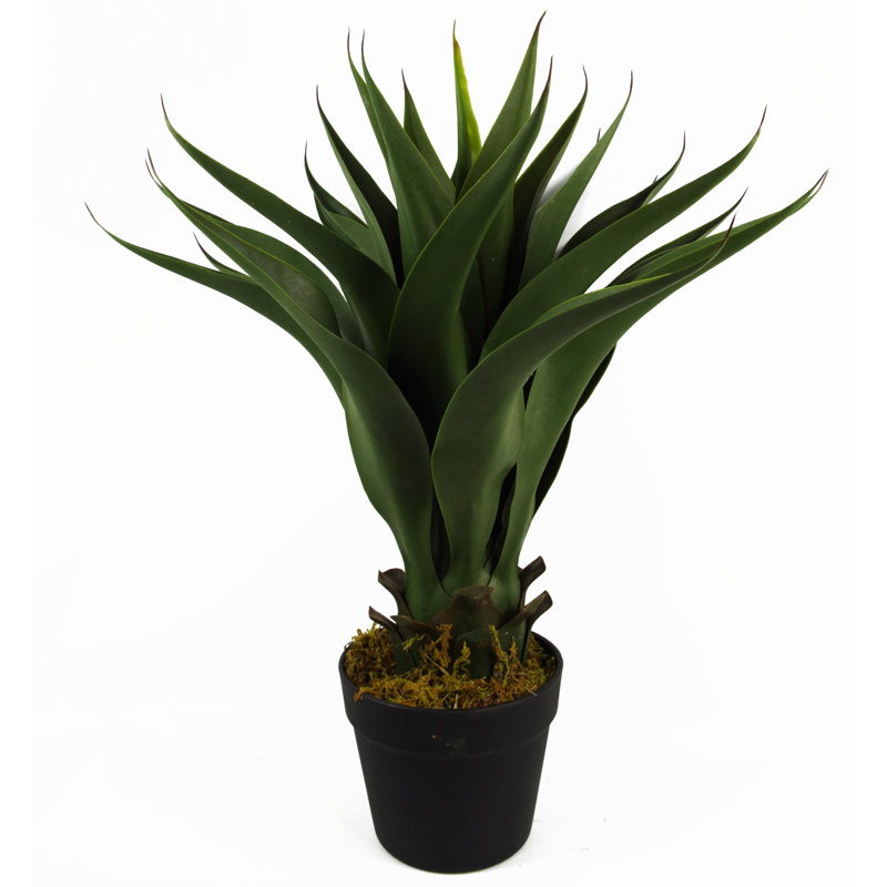 Anivea 55cm Faux Yucca Tree in Pot