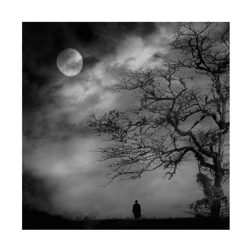 Jay Satriani This Darkness Canvas Art, 24" H x 24" W
