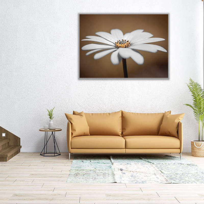 African Daisy 2 - Canvas Print Wall Art, 12" H x 16" W