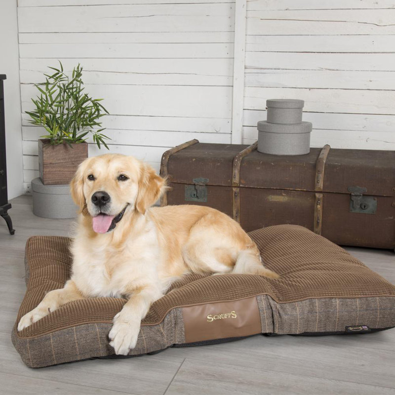 Windsor Polyester Pet Bed, Chestnut/Grey