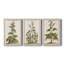 Toile tendue avec châssis de qualité supérieure Munting Botanicals IV - Prêt à être accroché-555332658