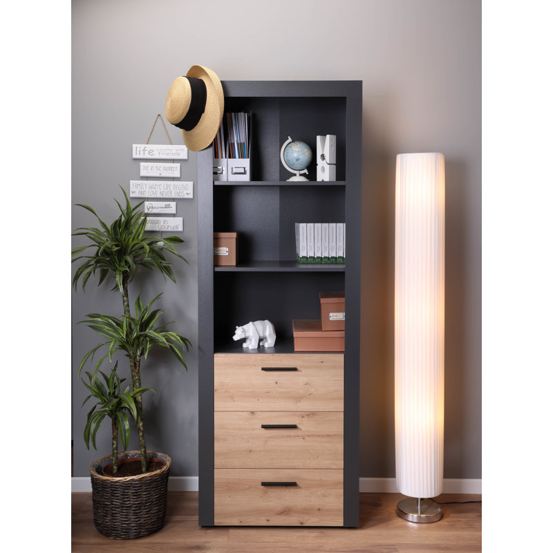 Ceji Bookcase
