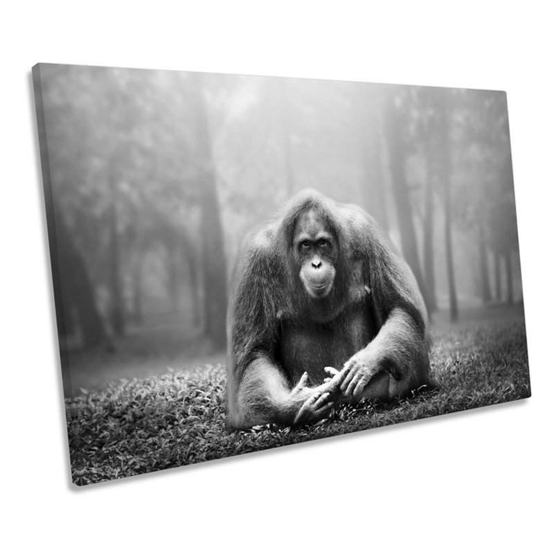 Orangutan Monkey - Wrapped Canvas Print, 81.3cm H x 121.9cm W x 4cm D