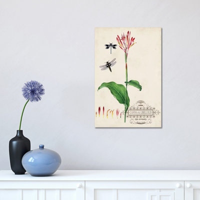 Canna & Dragonflies II by Vision Studio - Wrapped Canvas Gallery-Wrapped Canvas Giclée