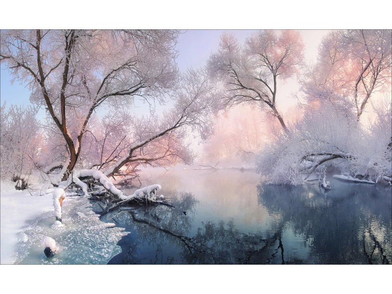Wrapped Canvas Print, 50.8 cm H x 76.2 cm W