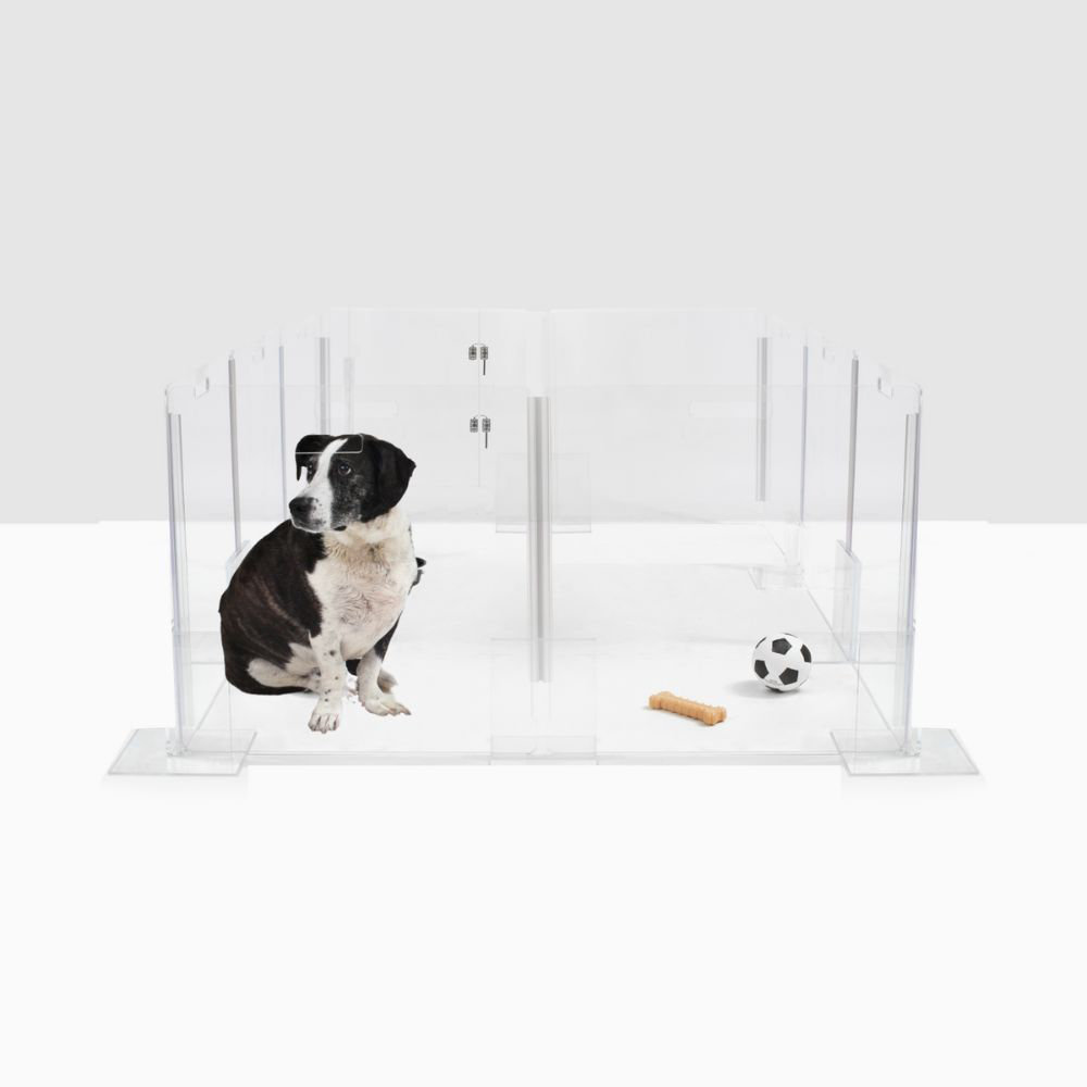 Small Dog & Cat Clear Acrylic Double Bowl Pet Feeder by Hiddin