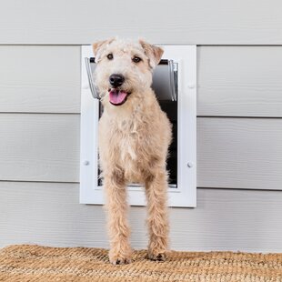 Dog Door Keys, Accessories