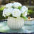 Rose Arrangement in Pot-1939542870