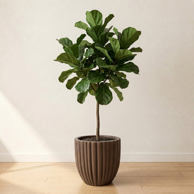 Atene ECOBO EcoFreindly Round Pot Planter, Onda IndoorOutdoor use, Four season Use