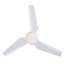 Stackpole Ceiling Fan with LED Lights