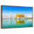 Floating Frame Gold